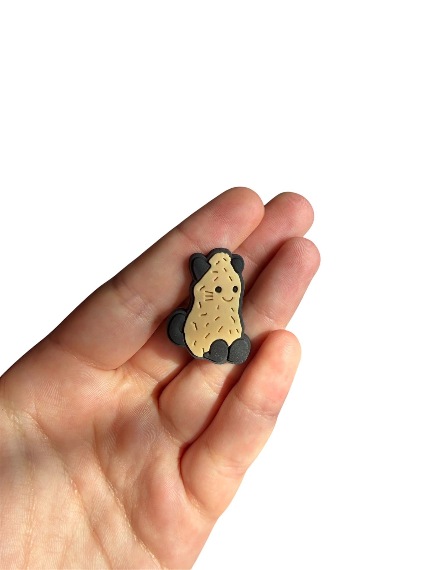 Jelly teddy cat peanut shoe charm