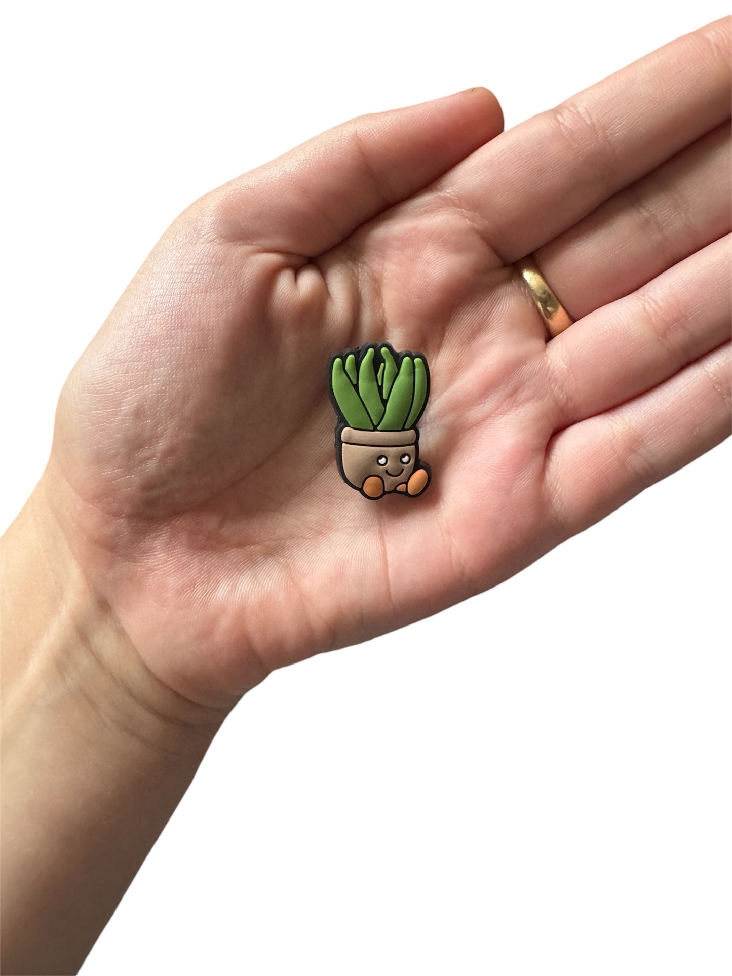 Jelly teddy plant shoe charm
